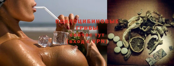 герыч Алексин